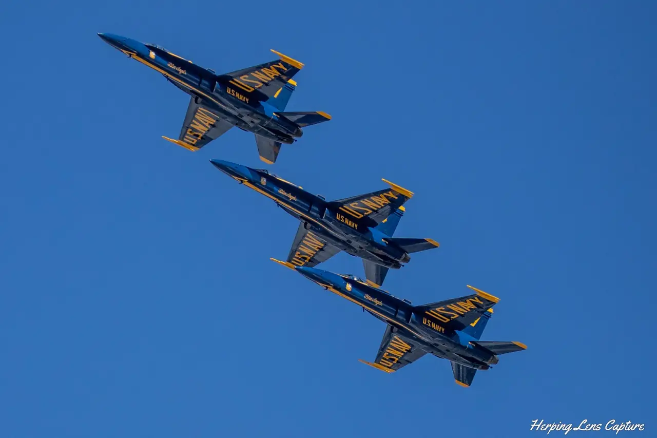 MG_8017.webp